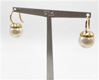 Boucles d'oreilles Rebecca Femme in Bronze Perla BHOONN63 - BHOONN63